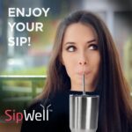 Pack of 2 Stainless Steel Straws OF 5